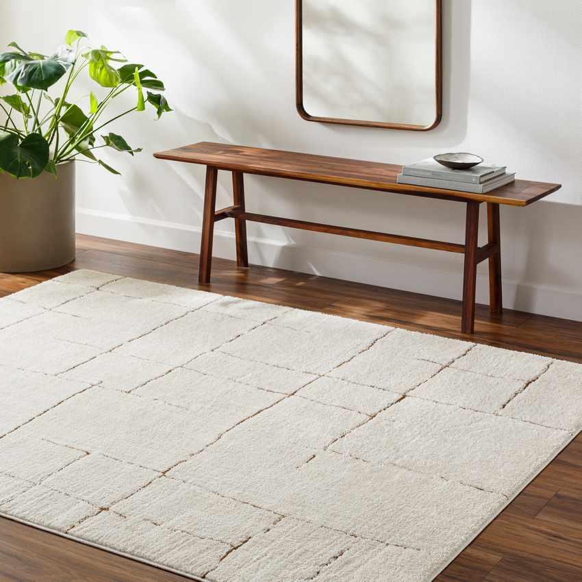 Alexsis Modern Ivory/Brown Area Rug