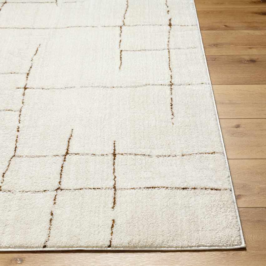 Alexsis Modern Ivory/Brown Area Rug