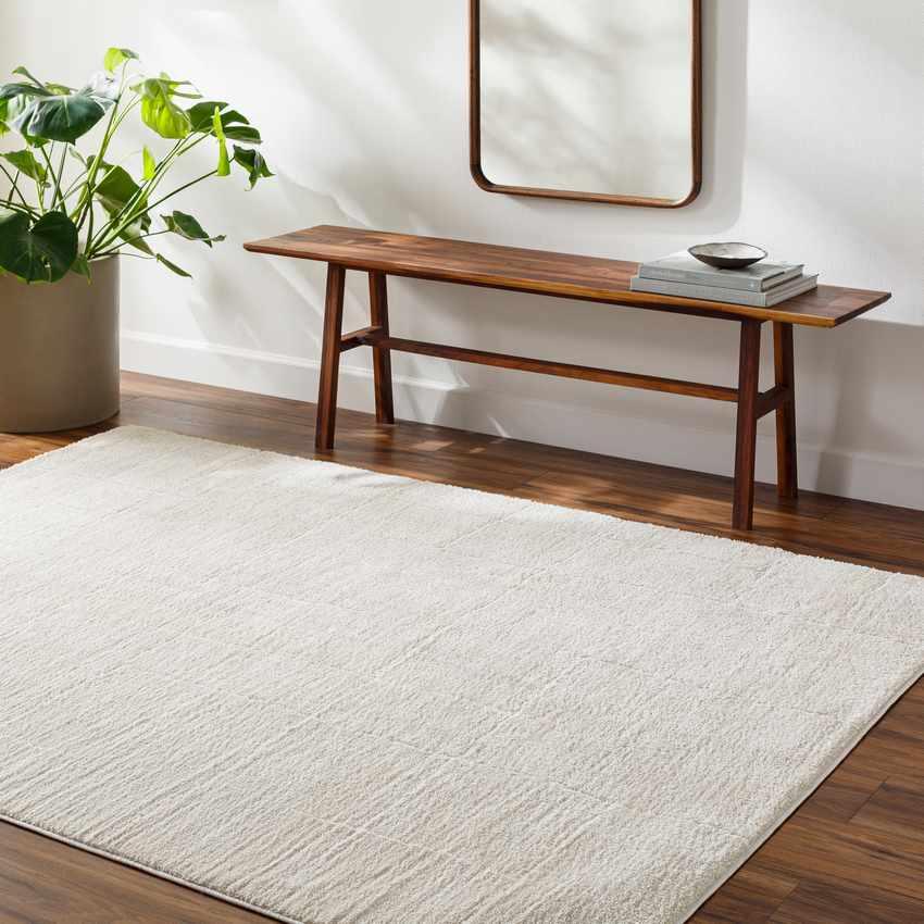 Alexsis Modern Ivory/Off-White Area Rug