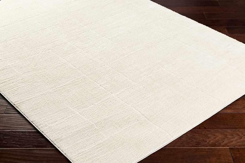 Alexsis Modern Ivory/Off-White Area Rug