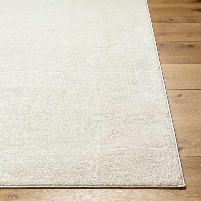 Alexsis Modern Ivory/Off-White Area Rug