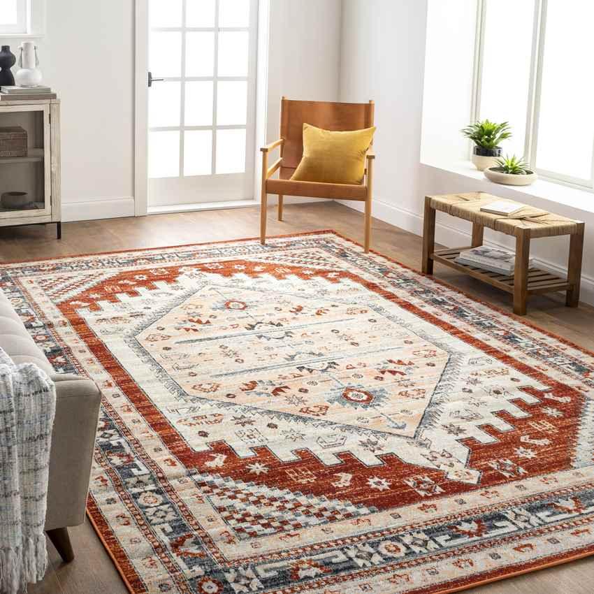 Alfordsville Traditional Burnt Orange Area Rug