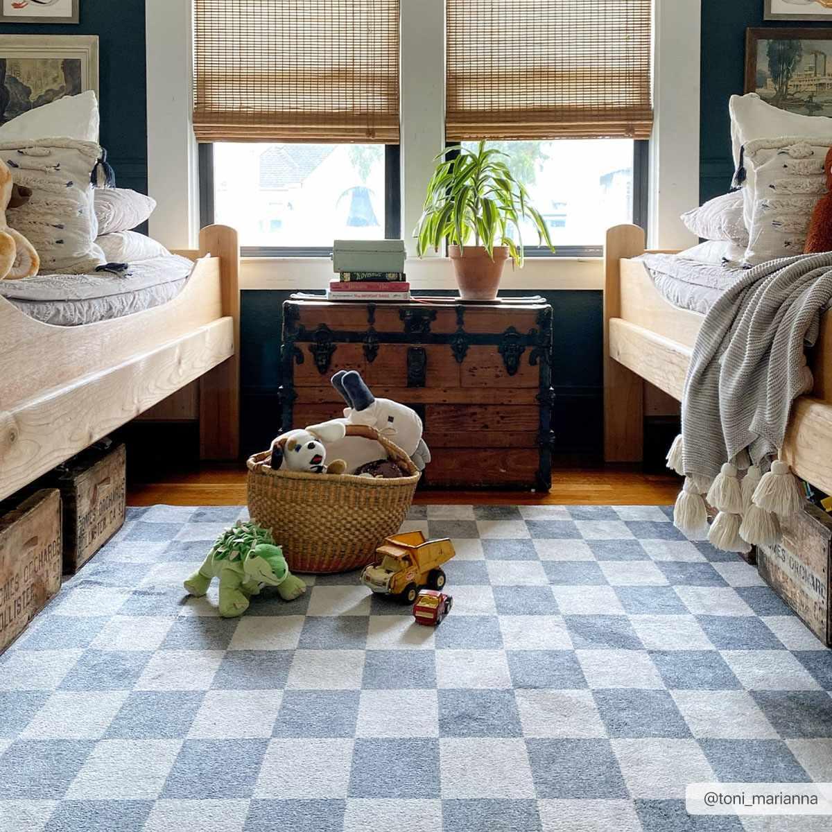 Alie Blue Checkered Area Rug