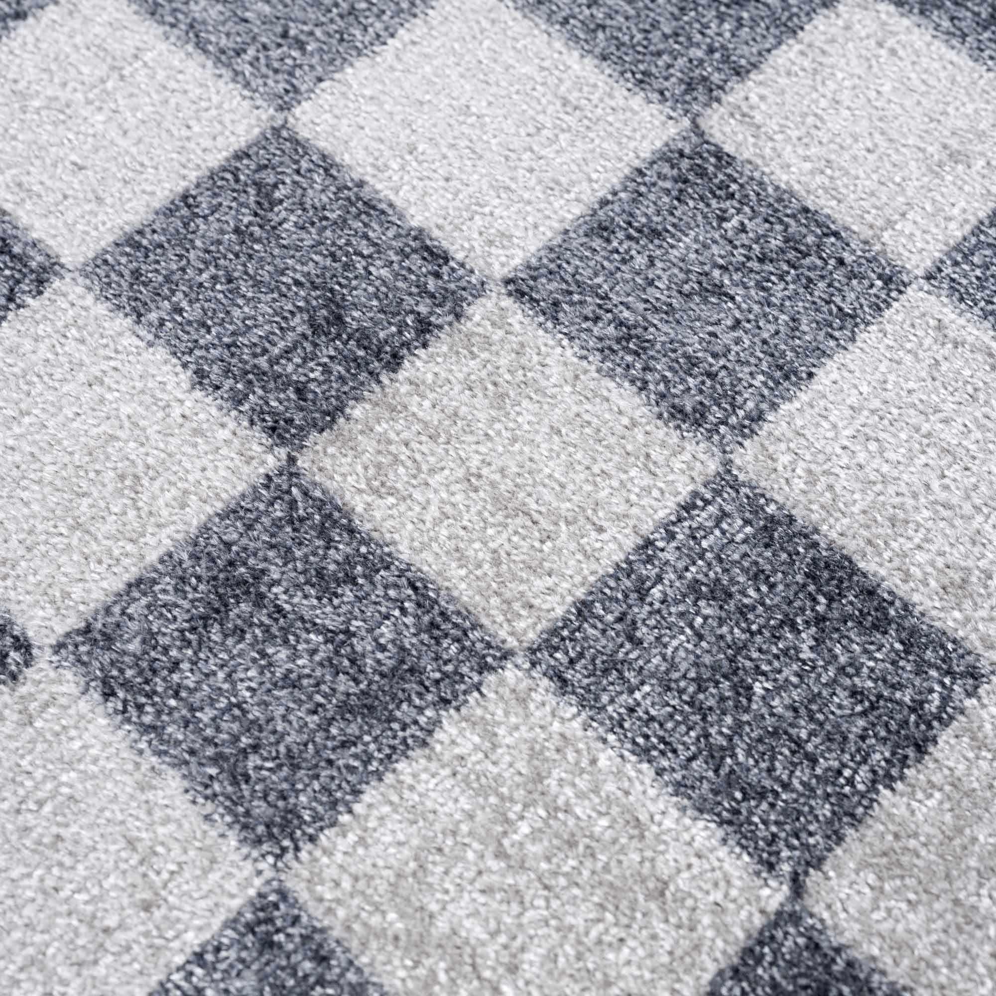 Alie Blue Checkered Area Rug