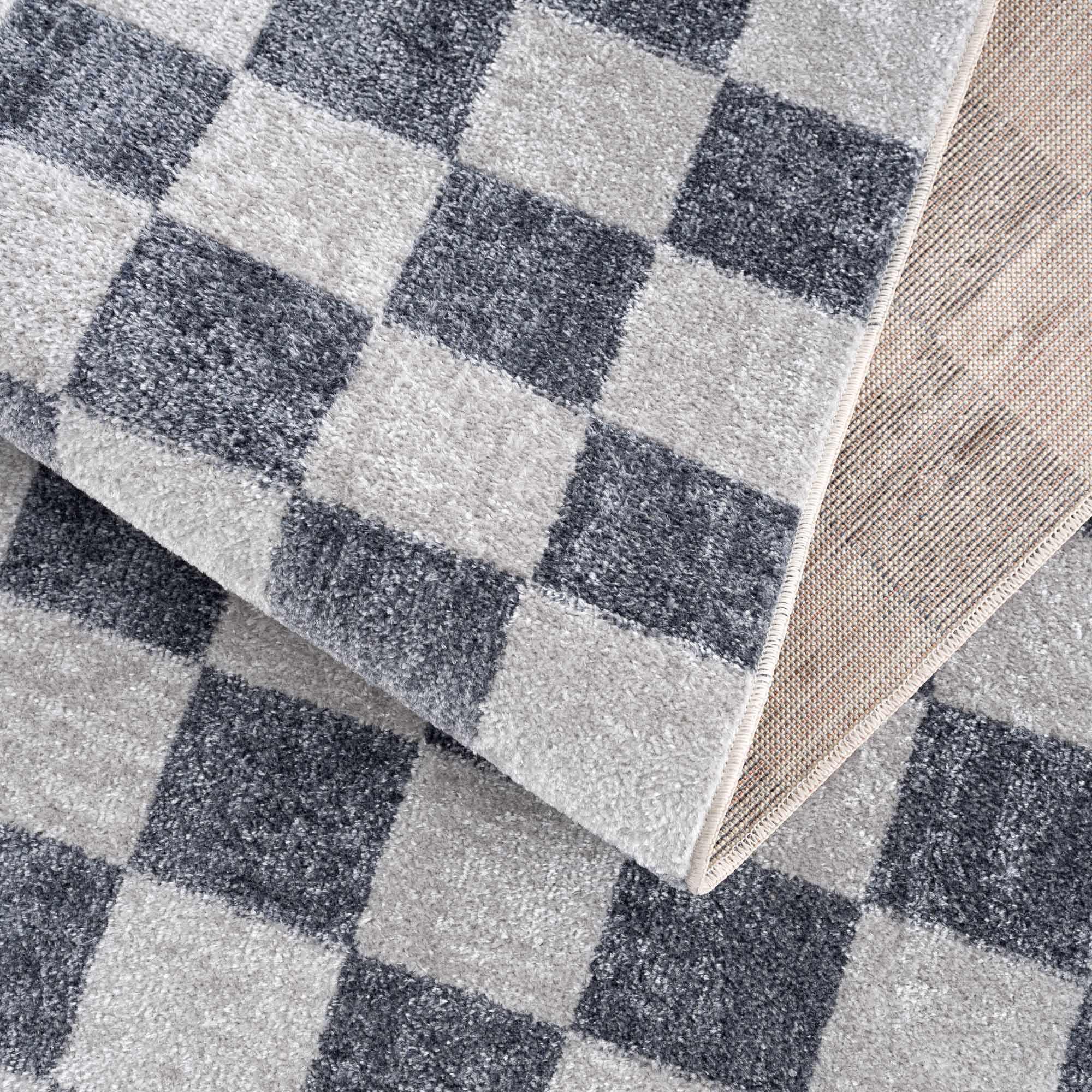 Alie Blue Checkered Area Rug