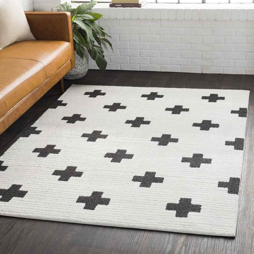 Alisa Modern Black Area Rug