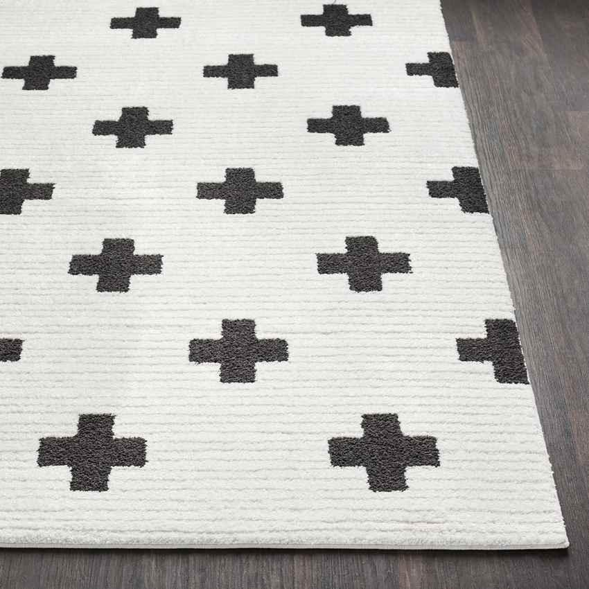 Alisa Modern Black Area Rug