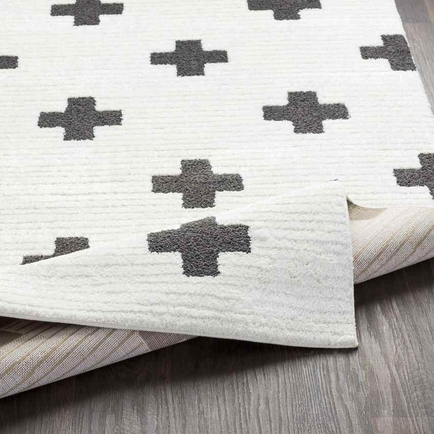 Alisa Modern Black Area Rug