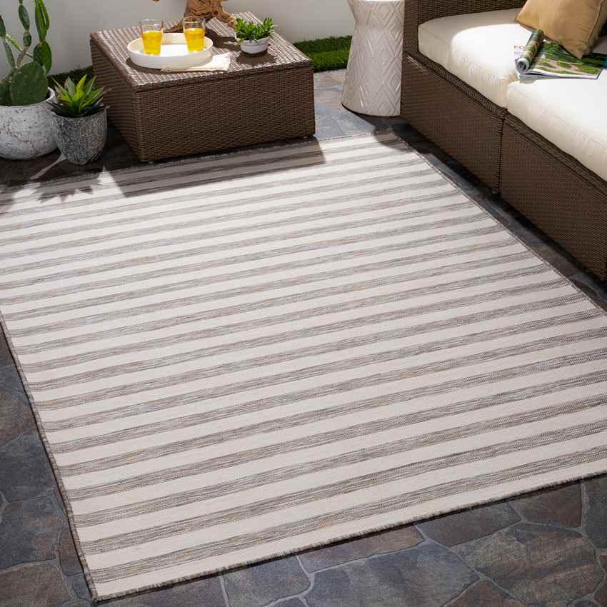 Alize Cottage Beige Area Rug