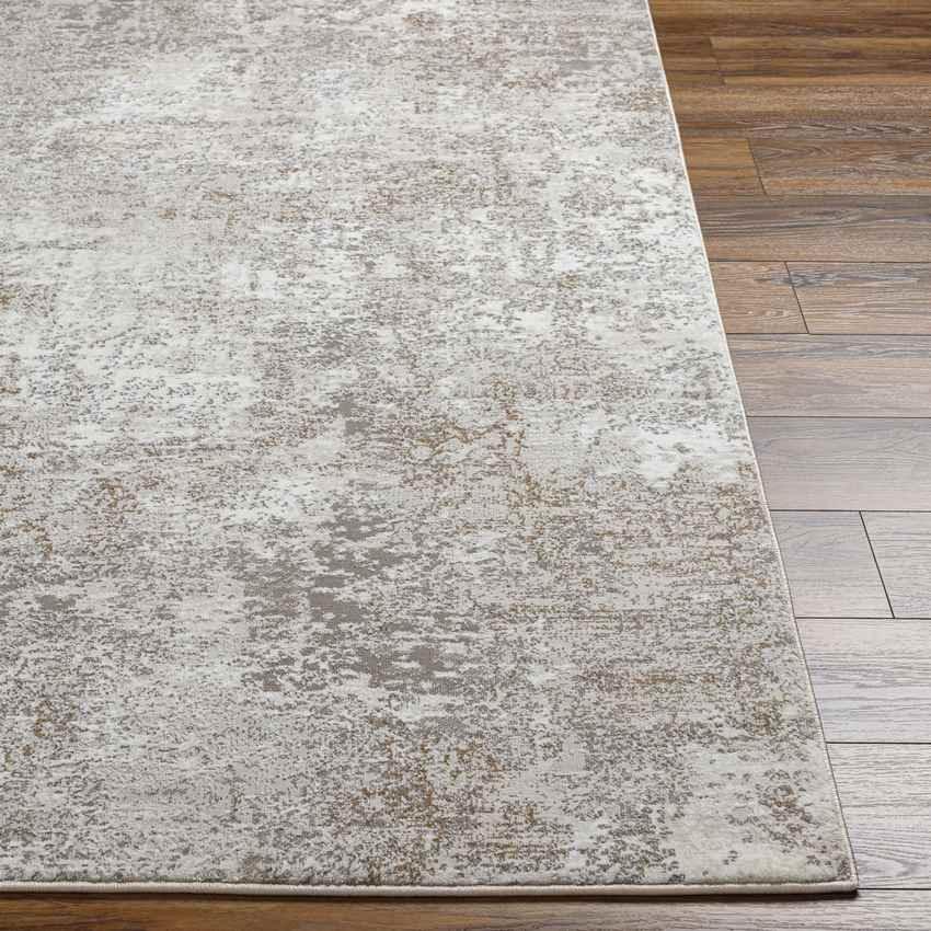 Alleman Modern Beige Area Rug