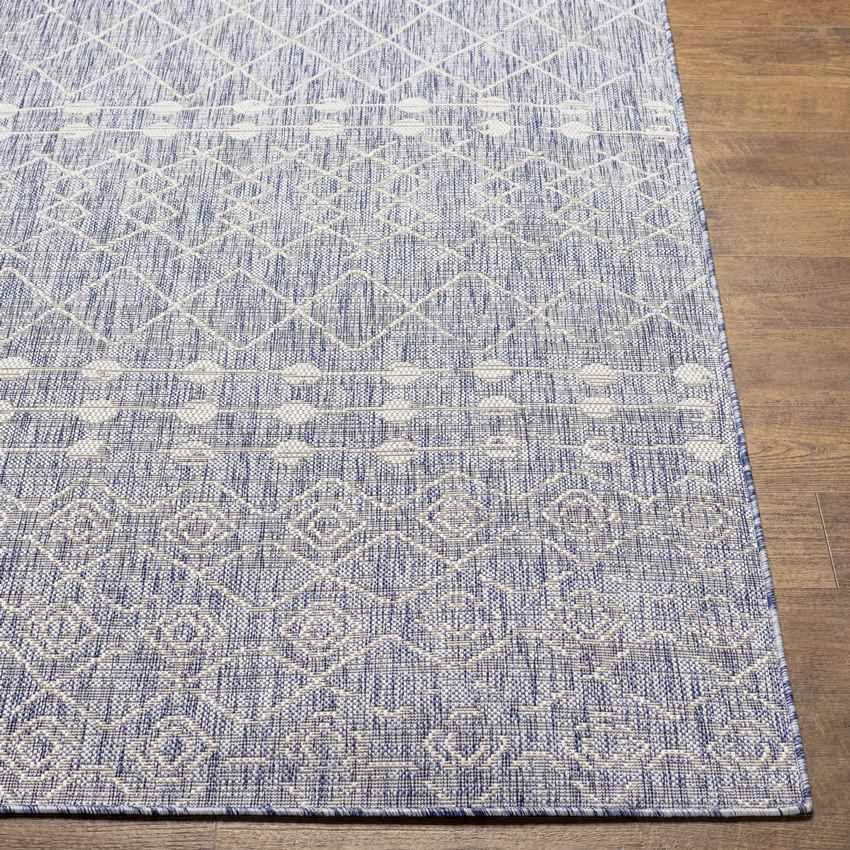 Almena Global Denim Area Rug