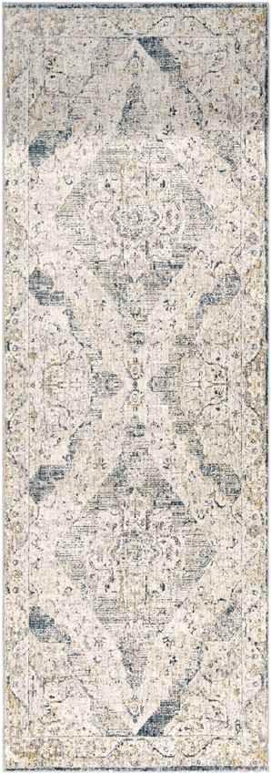 Almkerk Traditional Medium Gray Area Rug