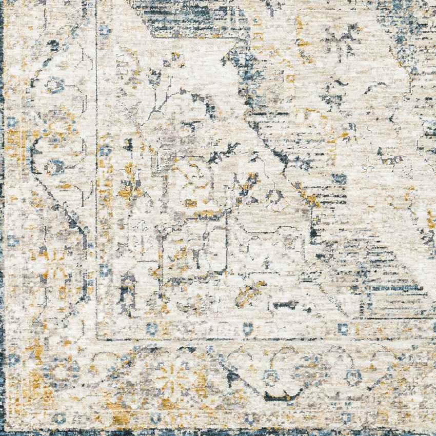 Almkerk Traditional Medium Gray Area Rug