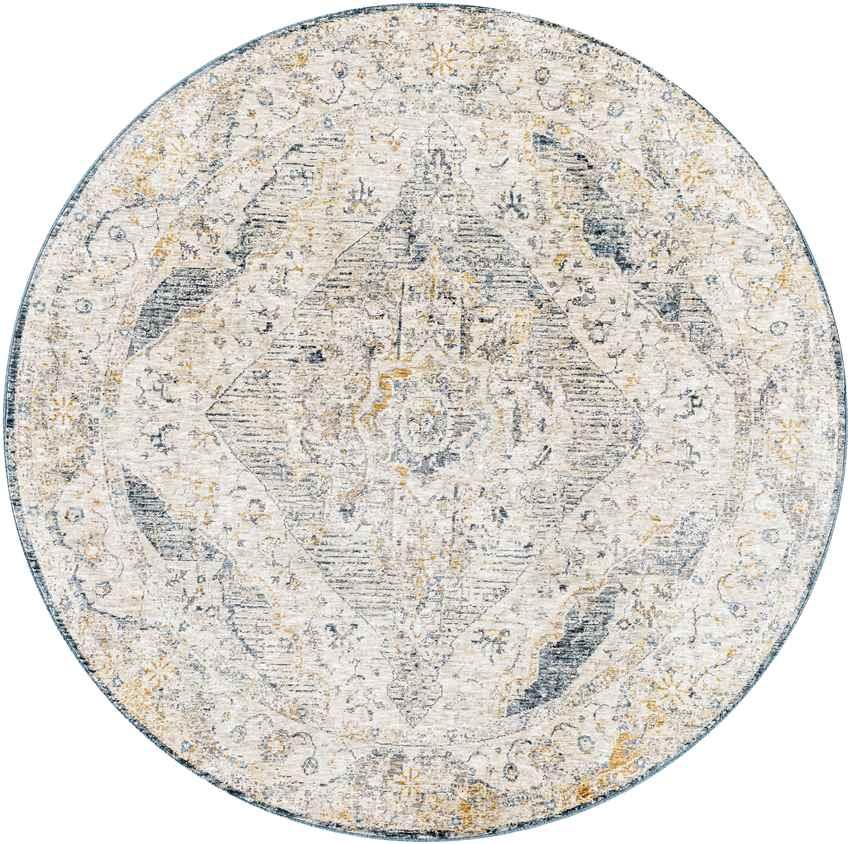 Almkerk Traditional Medium Gray Area Rug