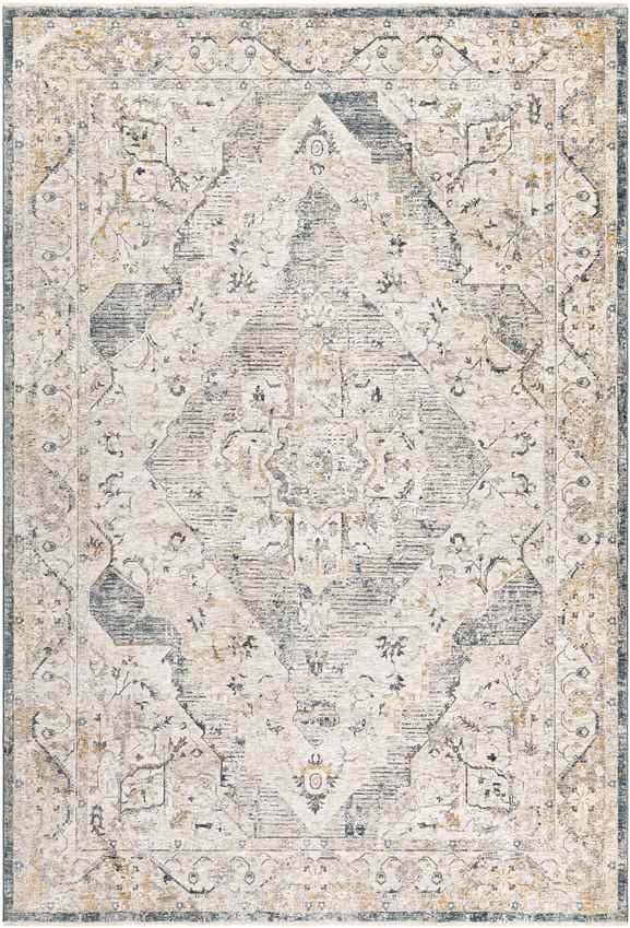 Almkerk Traditional Medium Gray Area Rug