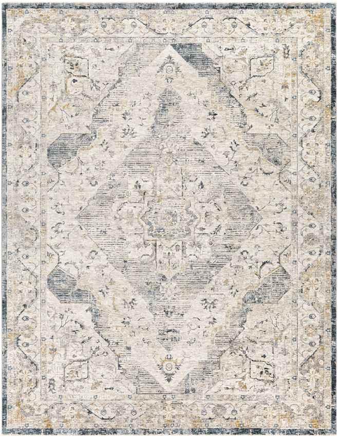 Almkerk Traditional Medium Gray Area Rug