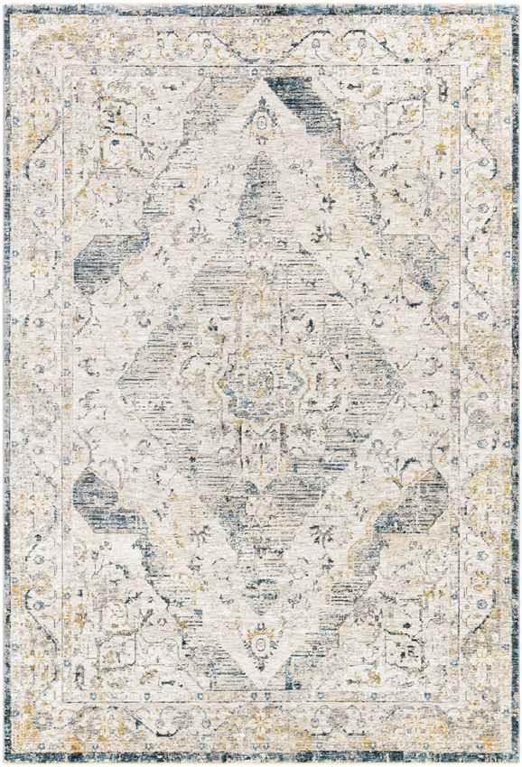 Almkerk Traditional Medium Gray Area Rug