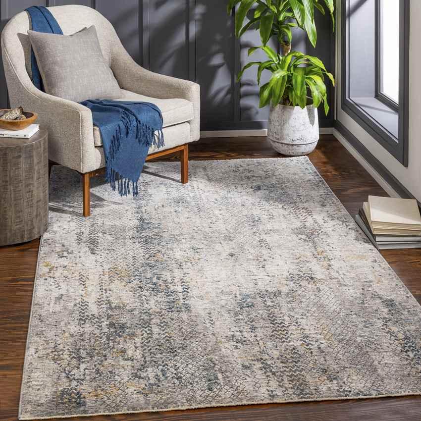 Alphen Modern Medium Gray Area Rug