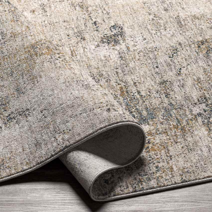 Alphen Modern Medium Gray Area Rug