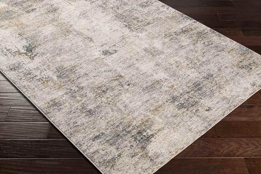 Alphen Modern Medium Gray Area Rug