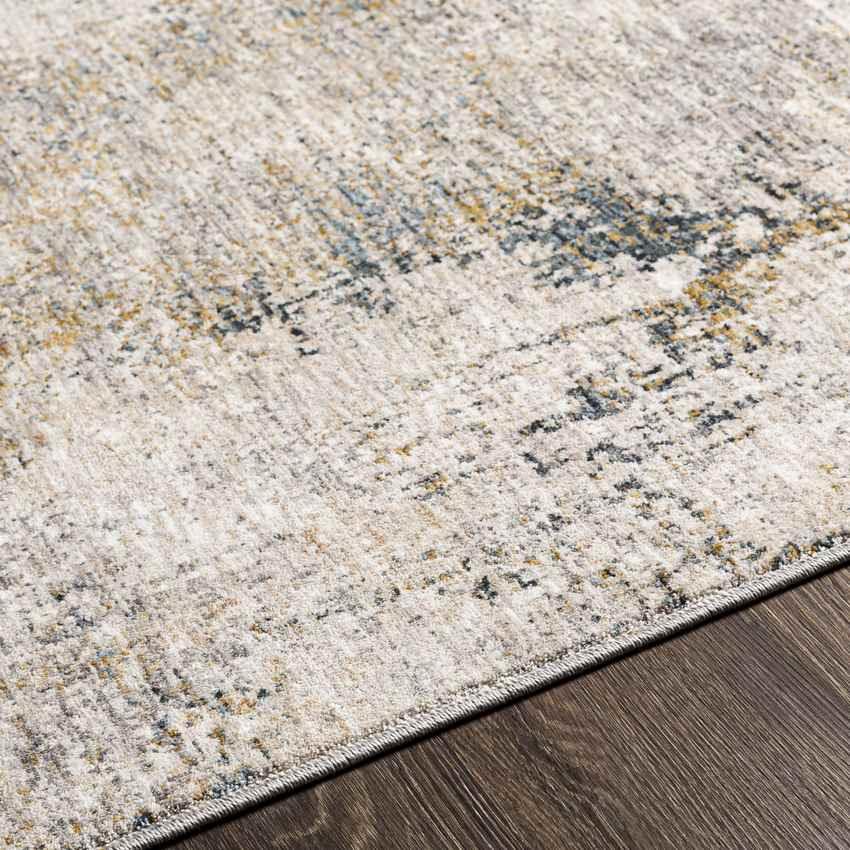 Alphen Modern Medium Gray Area Rug