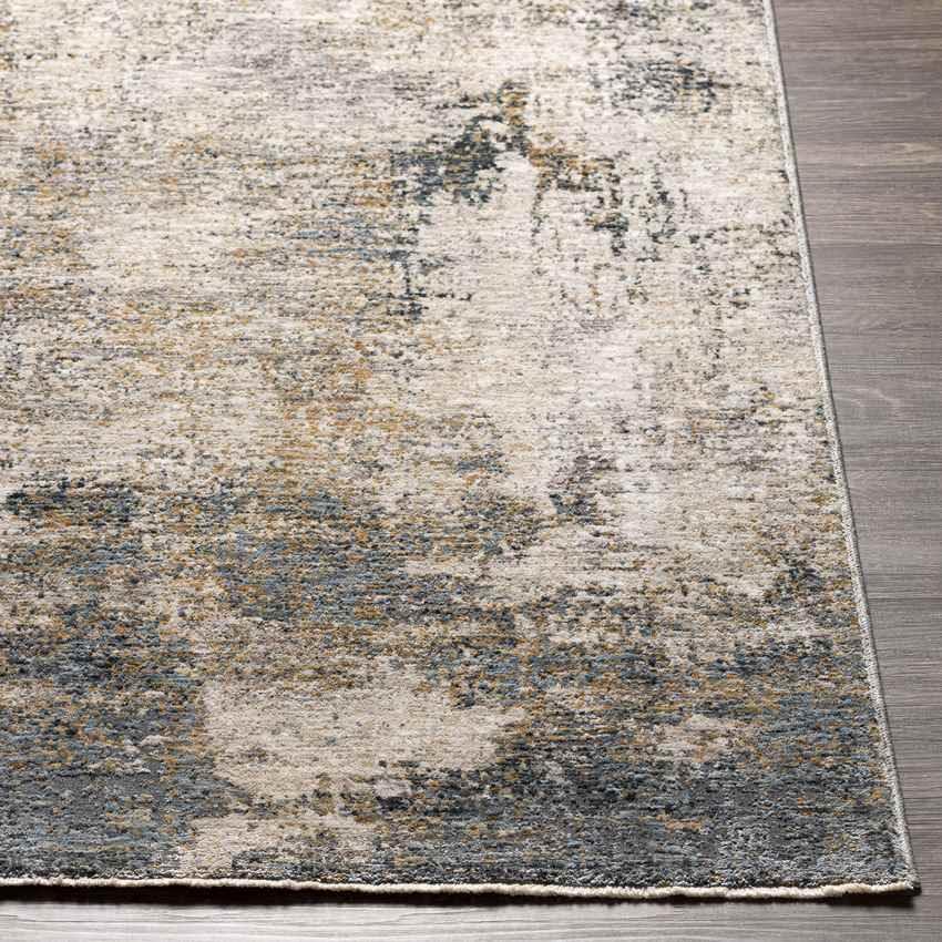 Alphen Modern Medium Gray Area Rug