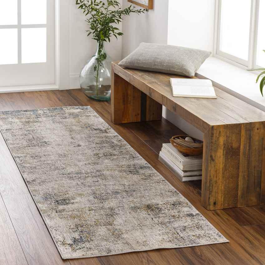 Alphen Modern Medium Gray Area Rug