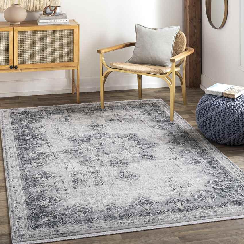 Alteveer Traditional Light Gray Area Rug