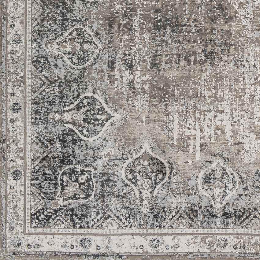 Alteveer Traditional Light Gray Area Rug