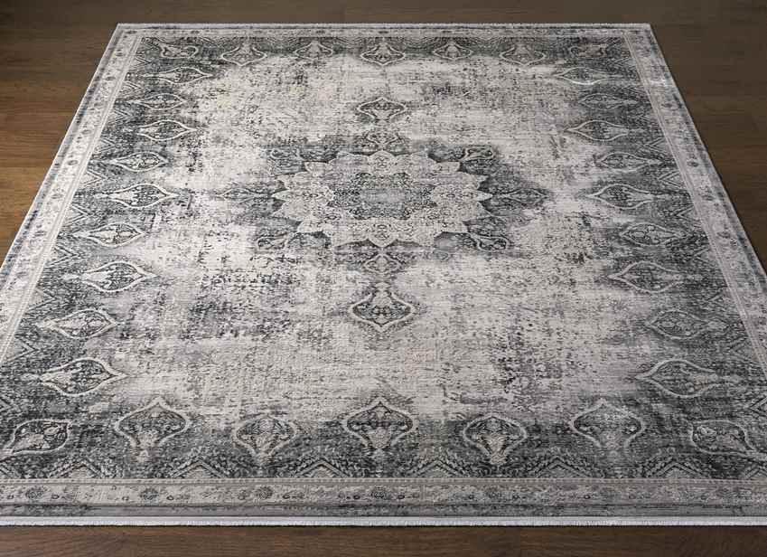 Alteveer Traditional Light Gray Area Rug