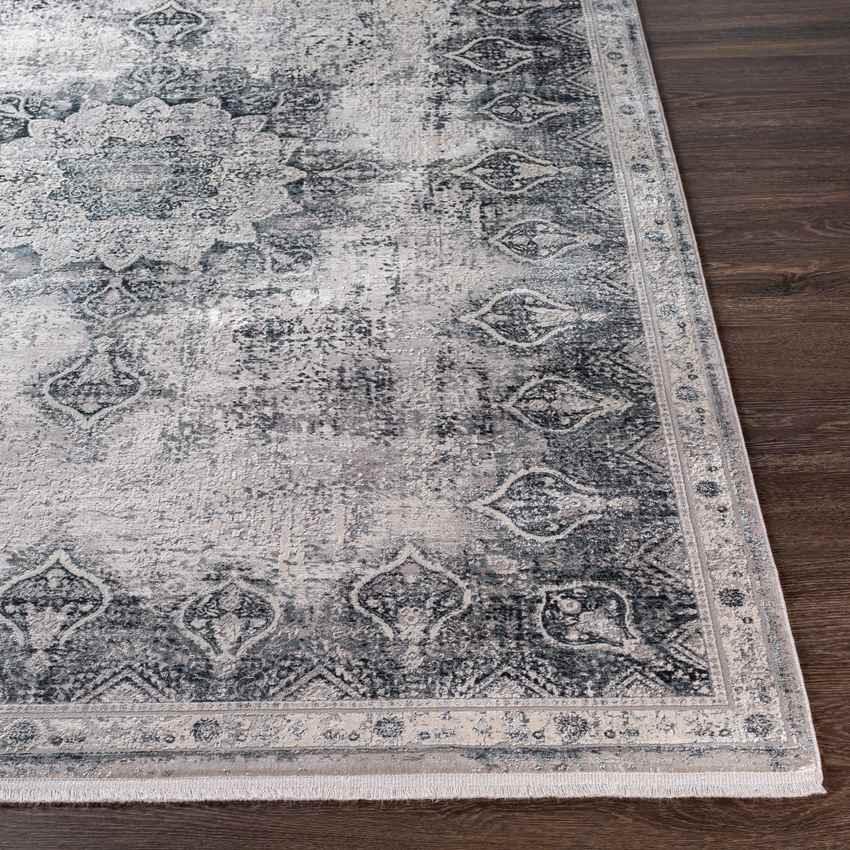 Alteveer Traditional Light Gray Area Rug