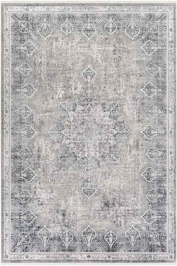 Alteveer Traditional Light Gray Area Rug