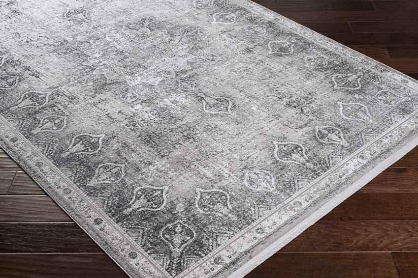 Alteveer Traditional Light Gray Area Rug