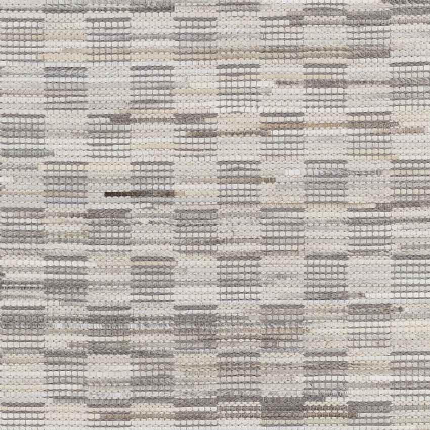 Altheimer Modern Gray Area Rug