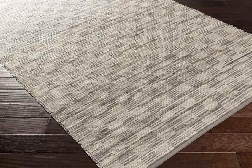 Altheimer Modern Gray Area Rug