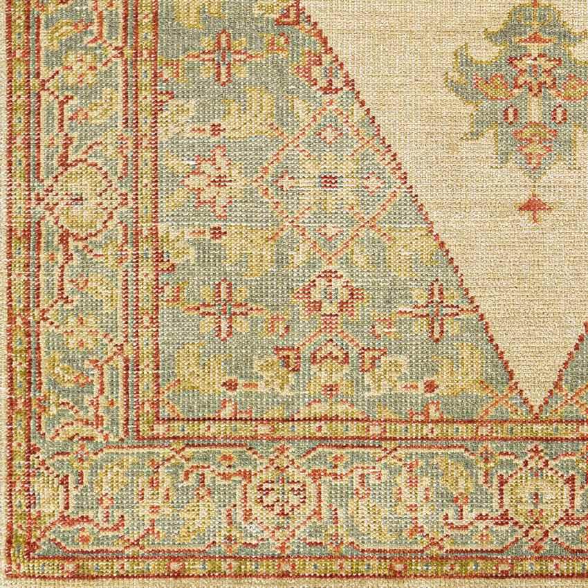 Alverna Traditional Brown Area Rug