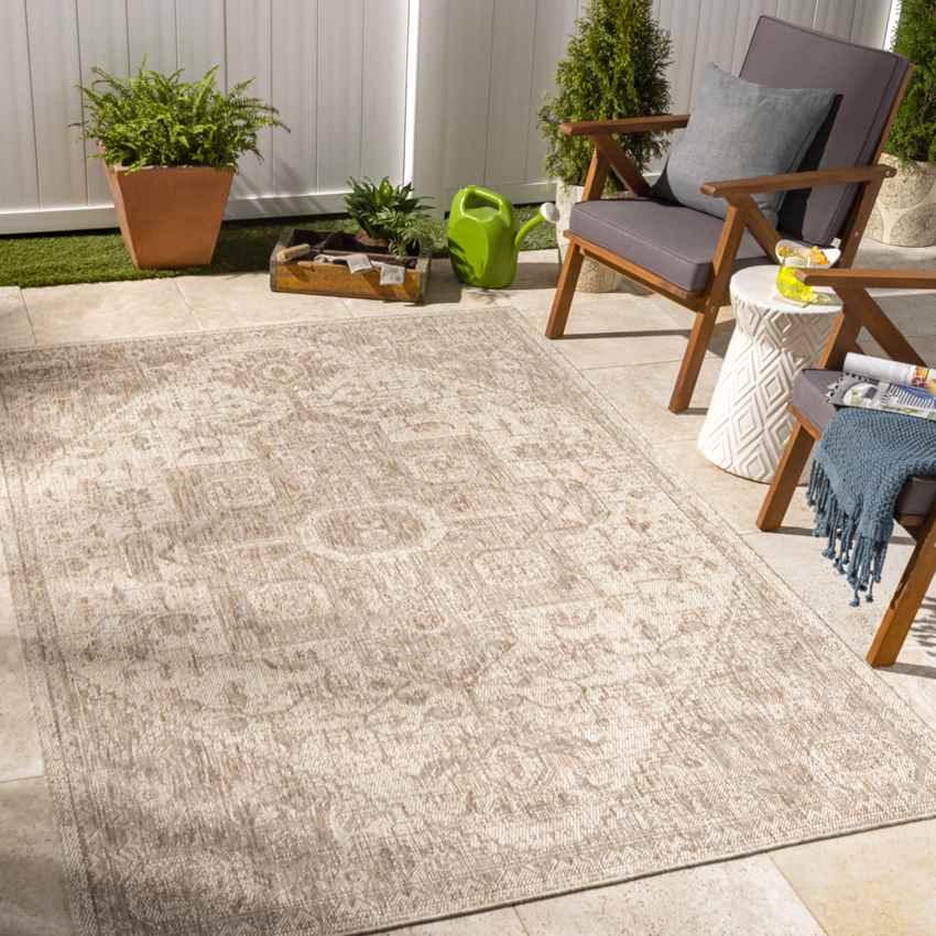 Alvord Traditional Beige Area Rug