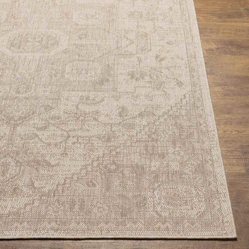 Alvord Traditional Beige Area Rug