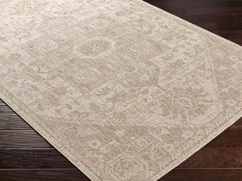 Alvord Traditional Beige Area Rug