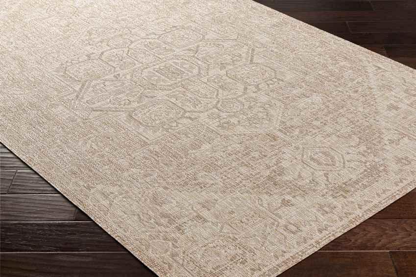 Alvord Traditional Brown Area Rug