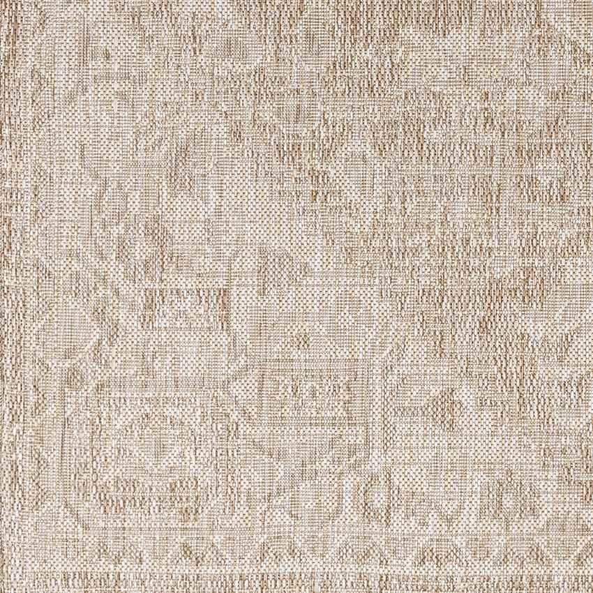 Alvord Traditional Brown Area Rug