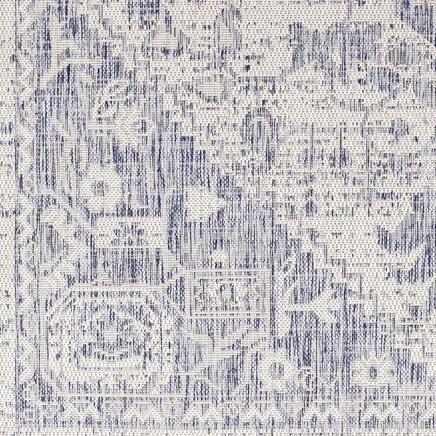 Alvord Traditional Denim Area Rug