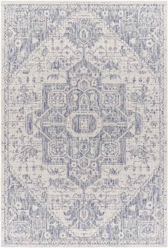 Alvord Traditional Denim Area Rug