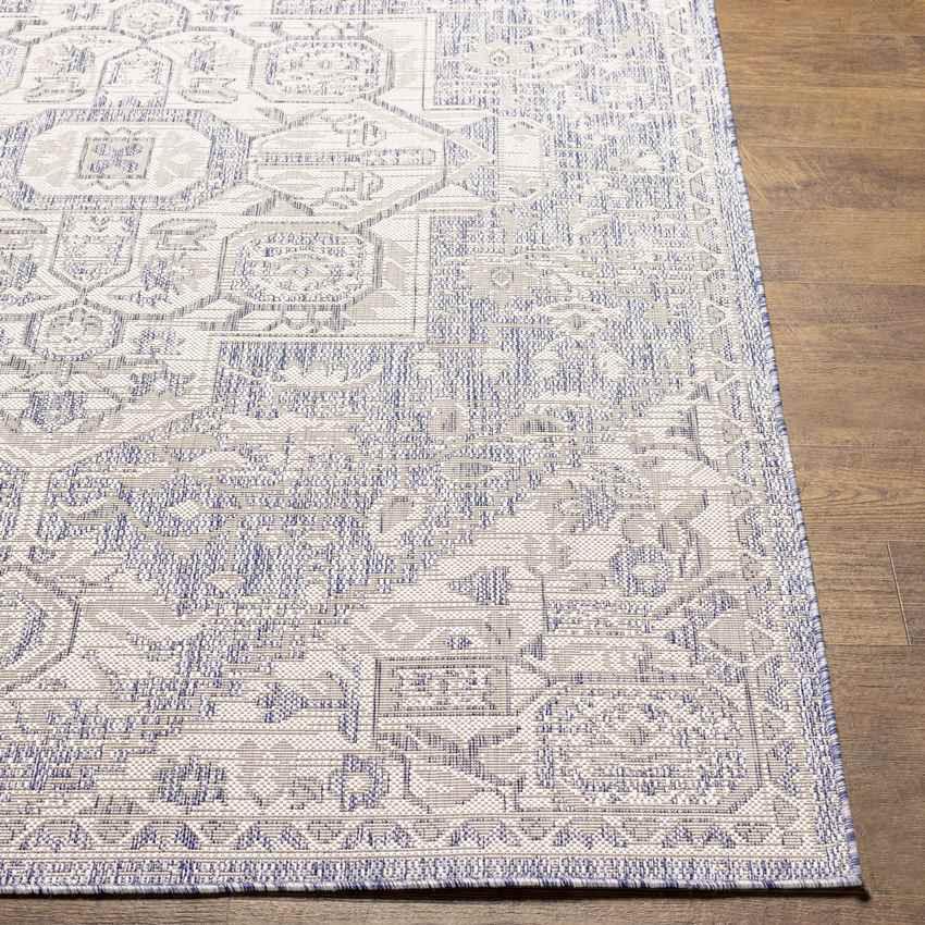 Alvord Traditional Ivory Area Rug