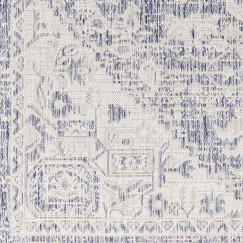 Alvord Traditional Ivory Area Rug