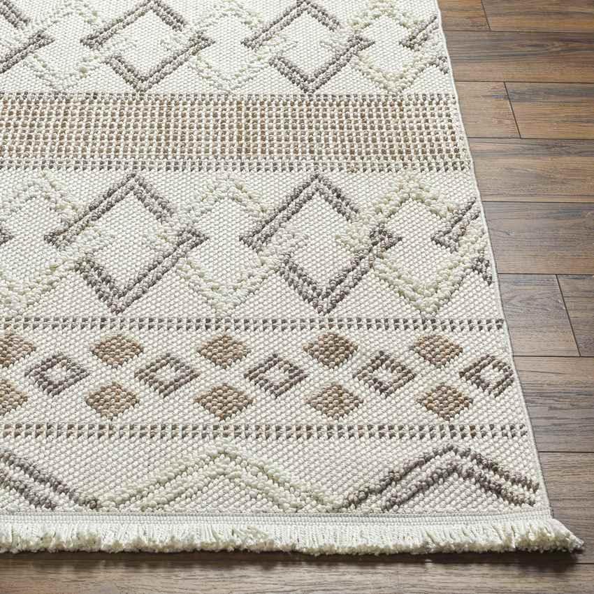 Alysa Global Off-White/Brown Area Rug