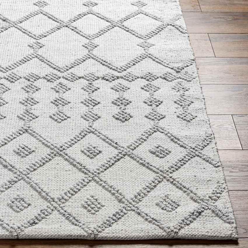 Amargeti Global Ivory/Slate Gray Area Rug