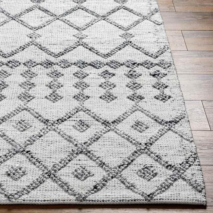 Amargeti Global Off-White/Slate Gray Area Rug