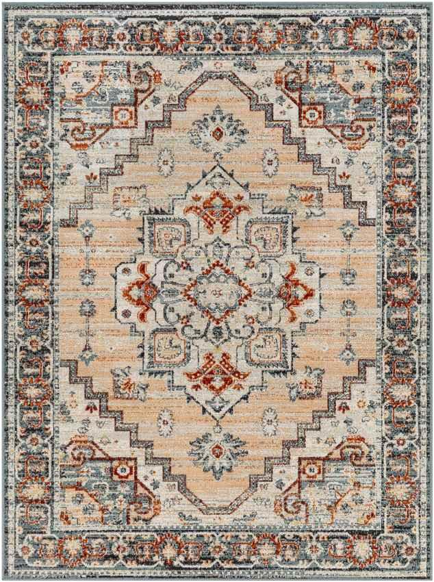 Ambia Traditional Peach Area Rug