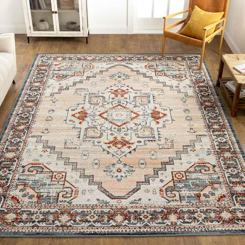 Ambia Traditional Peach Area Rug